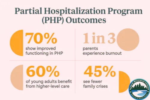 Partial Hospitalization Programs for Young Adults